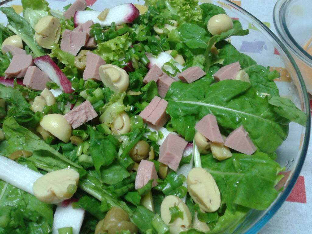 Salada especial com champignon