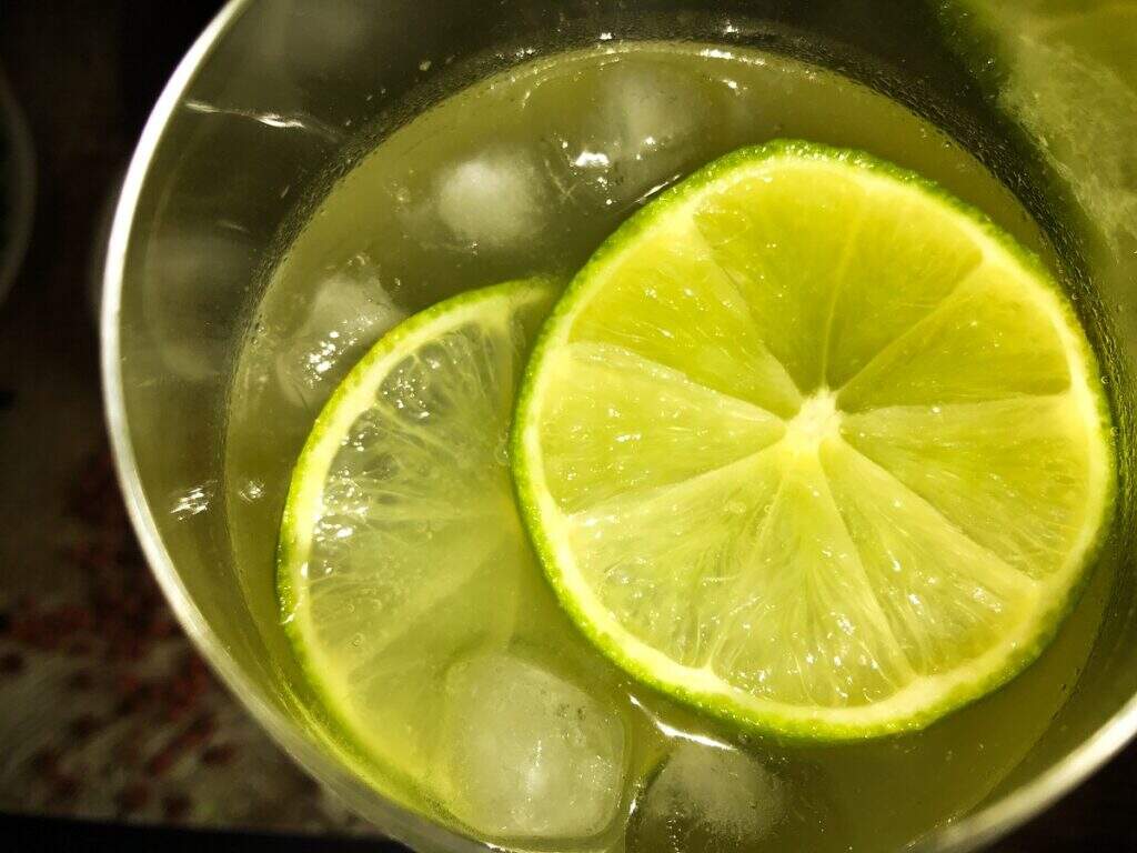 Gin com citrus e limão