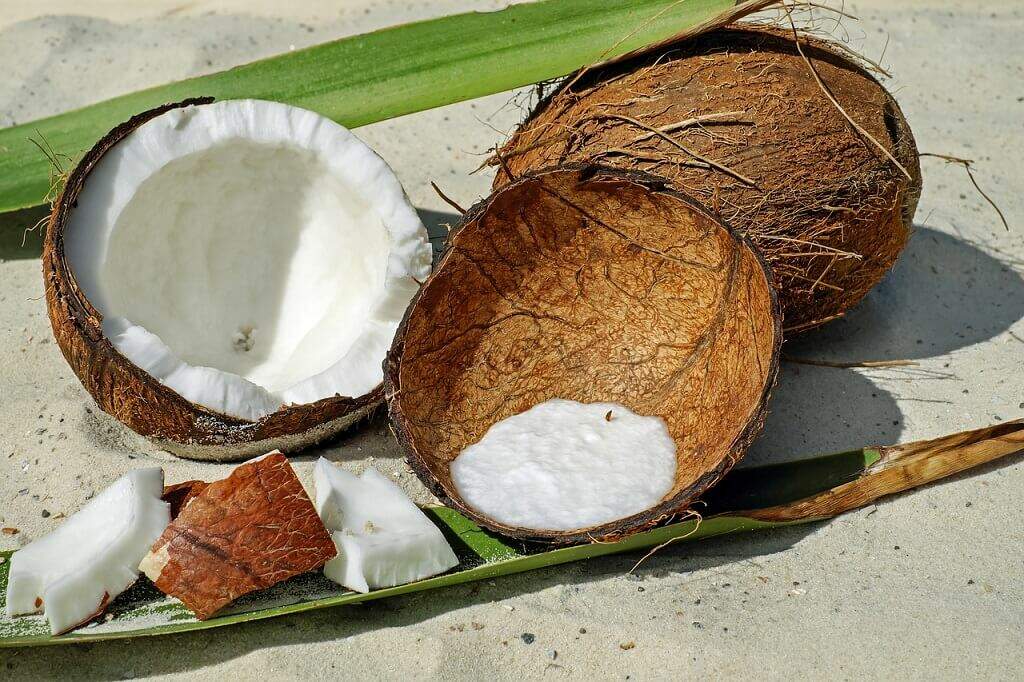 Receitas para você variar no preparo do coco