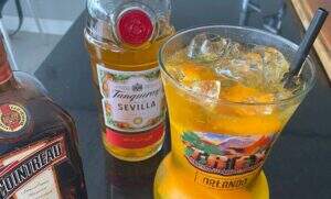 Drink-de-Gin-Tanqueray-com-Laranja-e-Cointreau-2