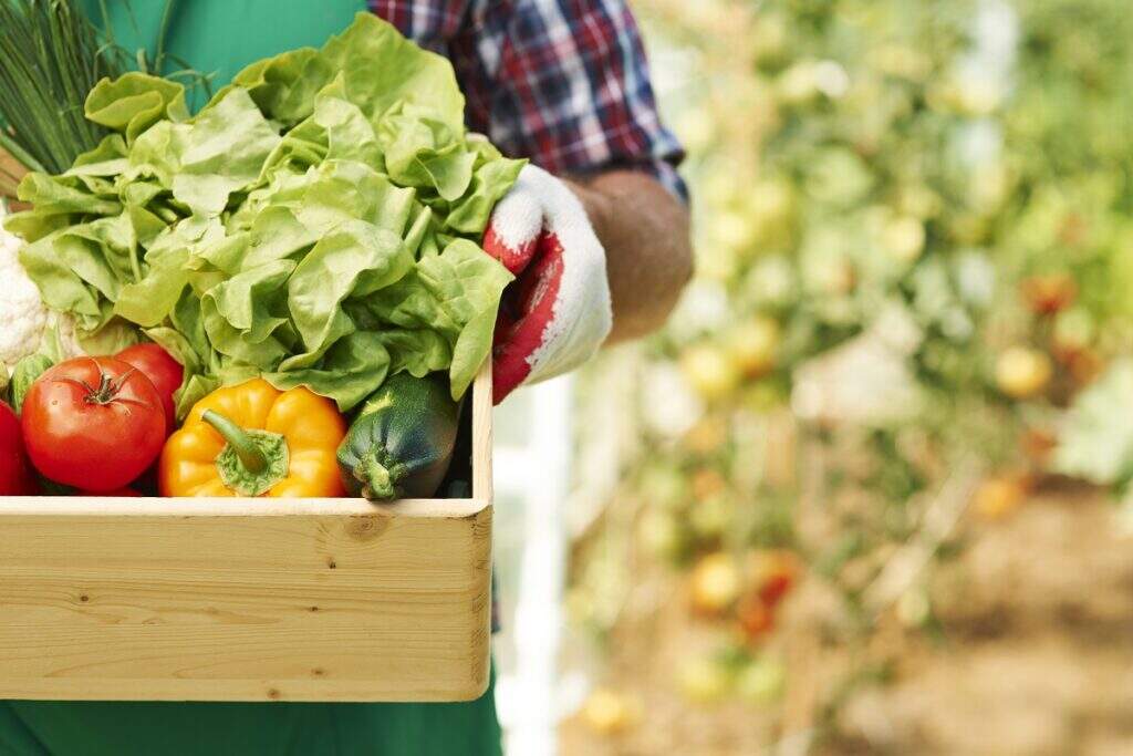 Dicas de como economizar nas compras da feira