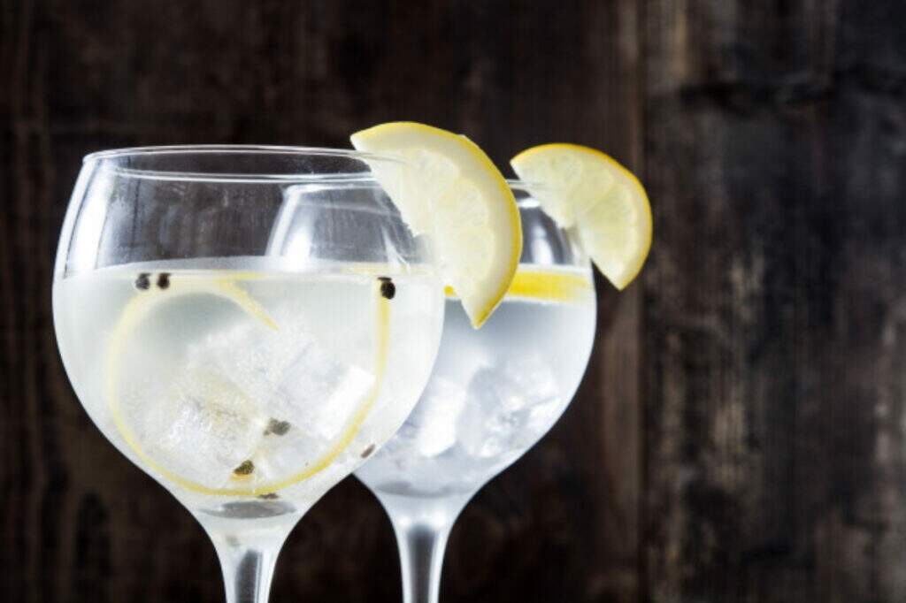 gin tônica sem álcool