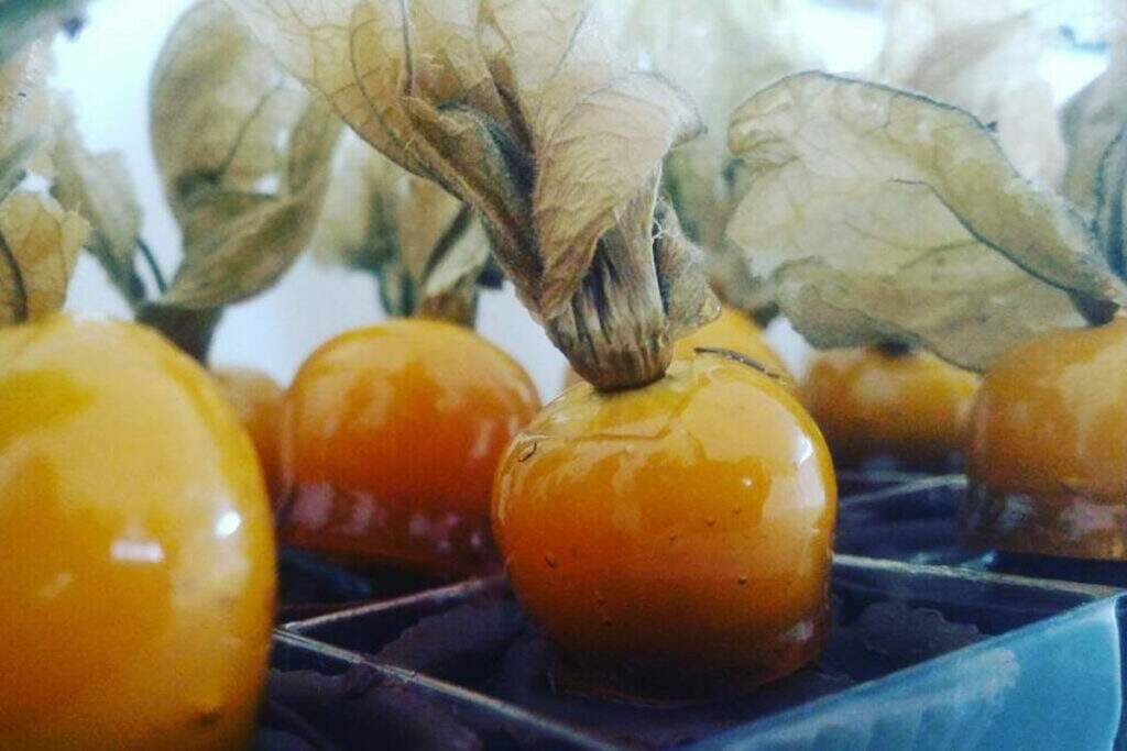 Physalis caramelado