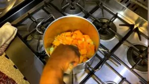 Creme de abobora Por Celinha Miranda (1)