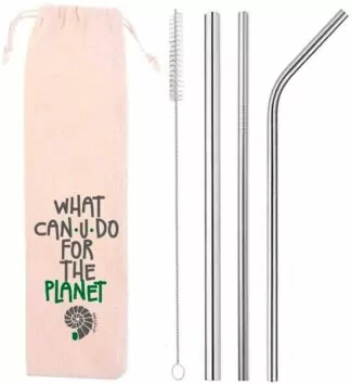 Kit 5 em1 com 3 Canudos de Inox + Escova + Ecobag
